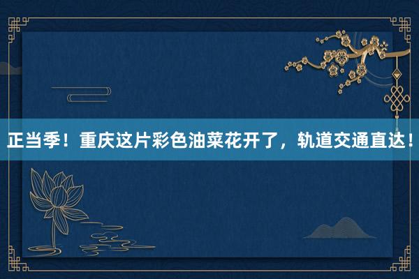 正当季！重庆这片彩色油菜花开了，轨道交通直达！