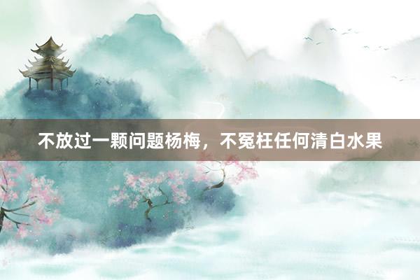 不放过一颗问题杨梅，不冤枉任何清白水果